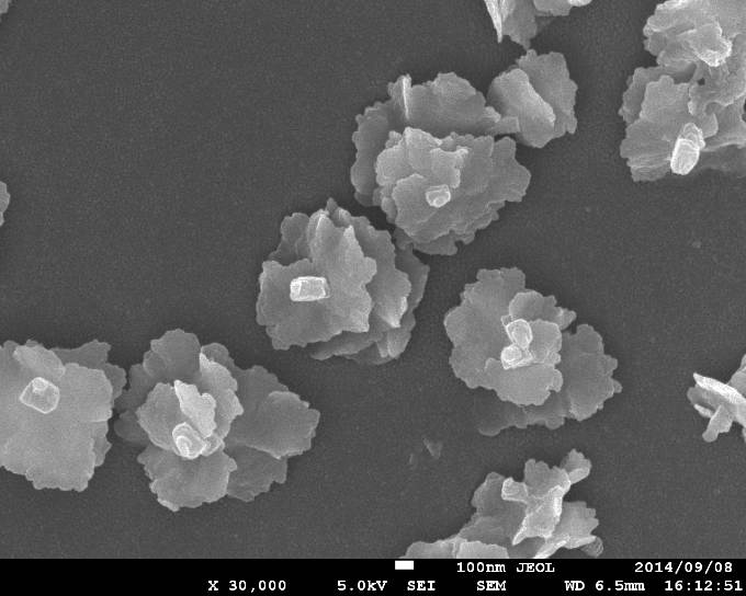 イオン液体に咲いた花　小柴康子氏（神大）　（第5回 JSAPフォトコンテスト（Science As Art） 優秀賞）